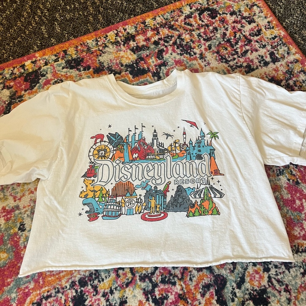 disneyland shirt
